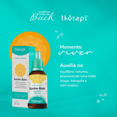 Floral de Bach - Sonho-Bom - Equilíbrio Noturno - 30ml - comprar online