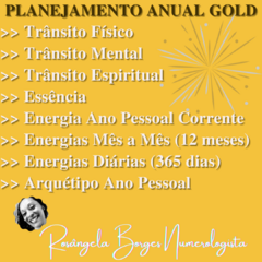 Planejamento Anual Pessoal "Gold"