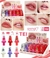 lip oil tei8044