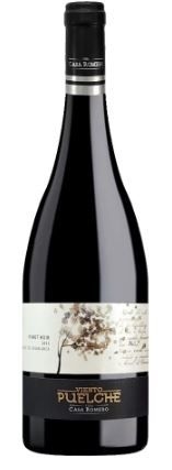 Vinho Tinto Casa Romero Viento Puelche Pinot Noir