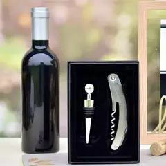 SET PARA VINO X2 PIEZAS - comprar online