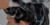 Banner de Droguimax