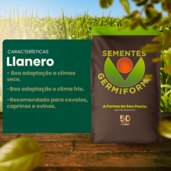 Llanero - comprar online