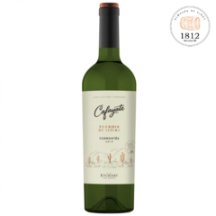 Cafayate terroir de altura torrontes ( bodega Etchart)