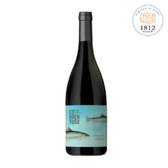 Correntoso Pinot Noir - Malma