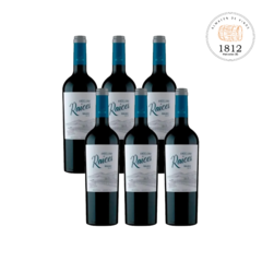 Andeluna raices malbec x6