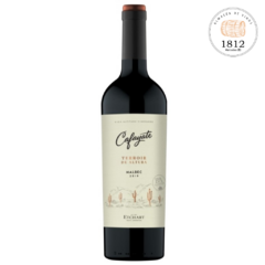 Cafayate terroir de altura Malbec ( bodega Etchart)