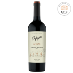 Cafayate terroir de altura Cabernet Sauvignon ( bodega Etchart)