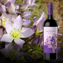 Las Nencias Malbec- Valle las nencias - comprar online