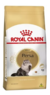 Royal Cat Gatos Persian x 1.5 kg