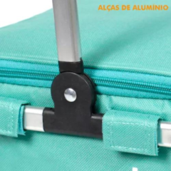 BOLSO TERMICO BEL 24 LATAS (VERDE AGUA) - comprar online