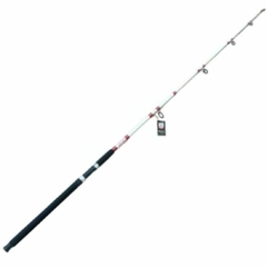 CAÑA COUGAR RANGER PRO 2,70 MTS 80-120 GRS (2 TRAMOS)