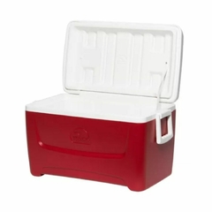 CONSERVADORA IGLOO ISLAND BEEZE 48 QT - comprar online