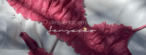 Carrusel My Intimates - Tudo em Conjuntos de Lingerie sem bojo e Lingerie de Renda 