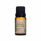 Óleo Essencial Pinheiro Silvestre 5ml