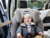 Cadeira para Auto Every Stage Fx Isofix Joie 0-12 anos Gray - comprar online