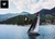 Cabo V.elo PESS8 Ideal para Escota cruzeiro Cor Azul escuro - comprar online