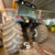 Trator Valtra BH 185I na internet