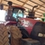 Trator Case IH 370 - comprar online