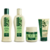 Kit Jaborandi Shampoo, Condicionador, Banho de Creme 250mL e Finalizador 150g Bio Extratus