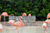 503- Foto impressa - Flamingos de Foz do Igauçu