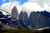 554 - Torres del Paine/Chile