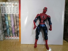 Figura de Acción Spider-Man - The History Comics