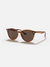Ray-Ban 4305-F stripped brown/brown