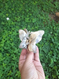 Presilha Borboleta Hibisco na internet