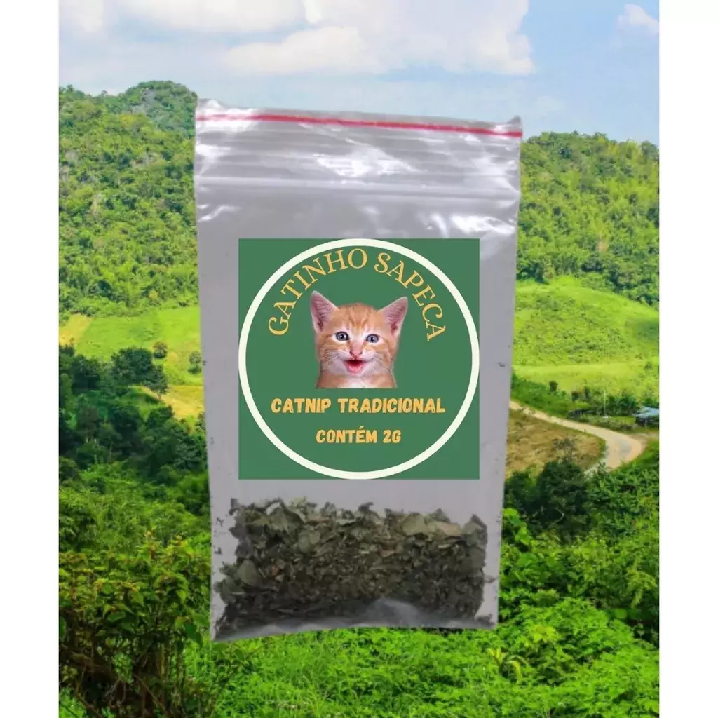 ERVA PARA GATOS: efeitos e benefícios do CATNIP 