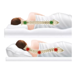 ALMOHADA PREMIUM CERVICAL ESPUMA VISCOELÁSTICA MEMORIA - tienda online