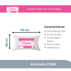 COMBO X2 ALMOHADA CISNE FIBRA VIRGEN SILICONADA 70X40 - Dormi Online