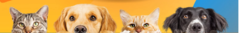 Banner da categoria Pet