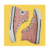 CONVERSE ALL STAR ROSA - TAM. 34/ 24cm