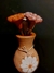 Vaso com flores - Vale do Jequitinhonha na internet