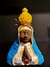 Busto Nossa Senhora Aparecida - Elizabeth Marques, MS