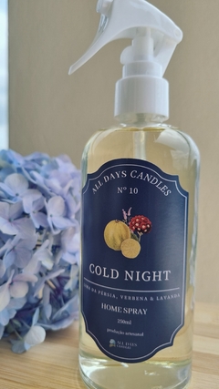 Home Spray - Nº 10 Cold Night - comprar online