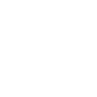Partha Gin