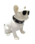 Caixa De Som Cachorrão Bulldog 5W Altomex AL-8336 - comprar online