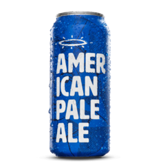 Cerveja SALVA American PALE ALE APA 473ml