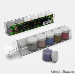 Coleção Hawaiian Tropics JC Beauty Concepts 6 cores na internet