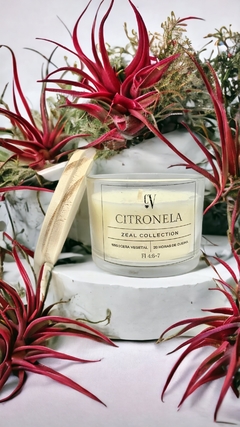 VELA CITRONELA