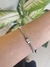 PULSEIRA PRATA - comprar online