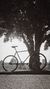 Bicicleta MIA LA CATRINA X HALEIGH - comprar online