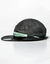 C-FIVE PANEL CHRONIC - comprar online