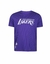 C- CAMISETA ALL CORE NBA LOSLAK ROXO - comprar online