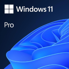 FQC-10572 Windows 11 Pro - ESD - 64-bit, Todos los idiomas