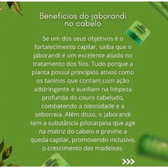 Kit Shampoo + Condicionador 300ml Jaborandi Fortalecedor Anti Quedas maribel Uso na internet