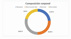 Excel Registro y Seguimiento de Composición Corporal en internet