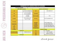 Plantilla Excel Historia Clínica Nutricional - comprar online